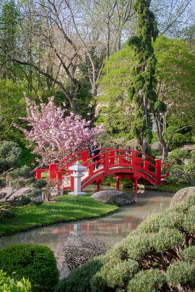 Le jardin Japonais